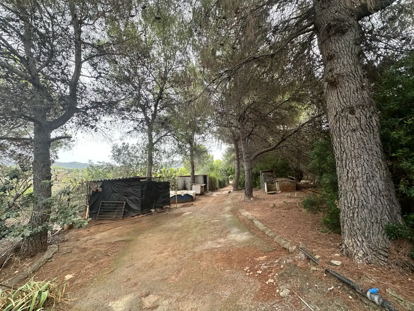 Xalet amb piscina en venda a Algar de Palància, imagen 7