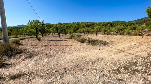 FINCA RUSTICA EN EL CORAZON DE LA MONTAÑA  DE CASTALLA