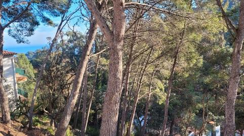 Photo 4 of Residential for sale in Rosamar, Santa Cristina d'Aro