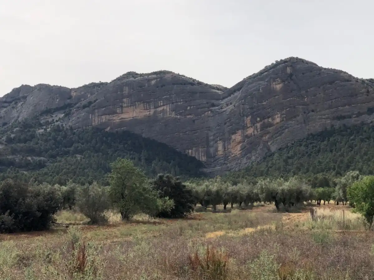 Rural land for sale in Horta de Sant Joan, imagen 13