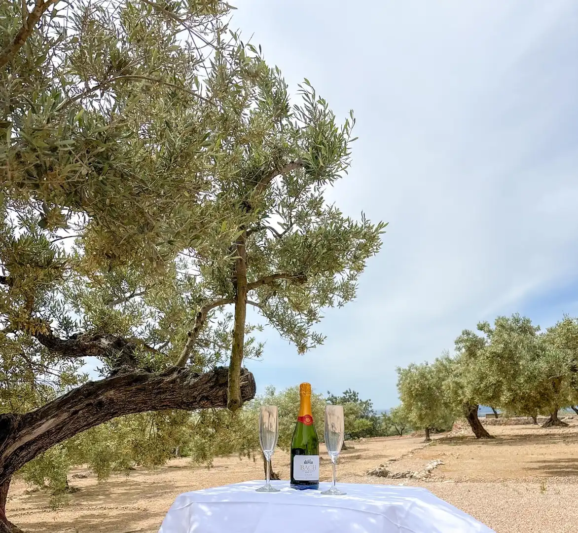 Villa mit Terrasse zum Verkauf in COLL DE L'ALBA 43517 TORTOSA (TARRAGONA), imagen 61