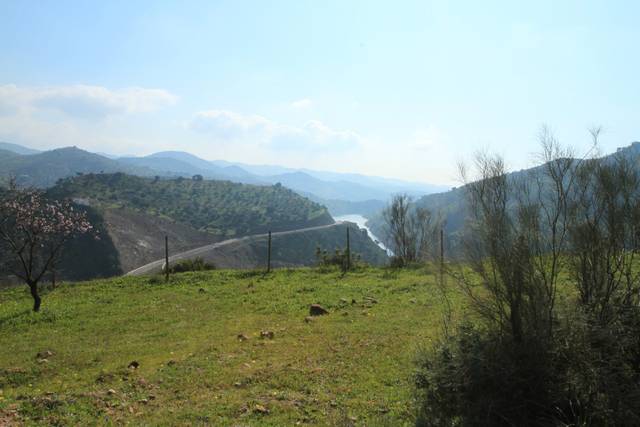 Terreno en Venta en El Cortijuelo