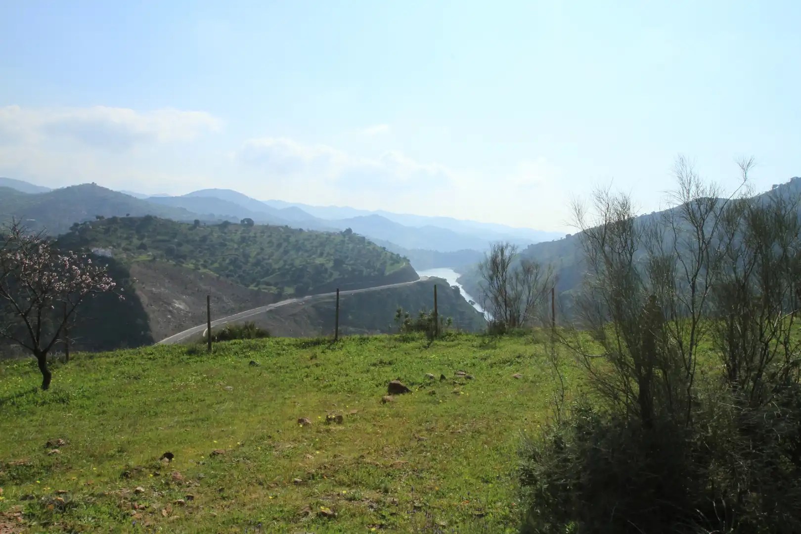 Terreno rústico en venta en Almogía