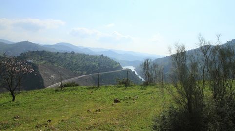 Finca en carretera de Almogía (Málaga)