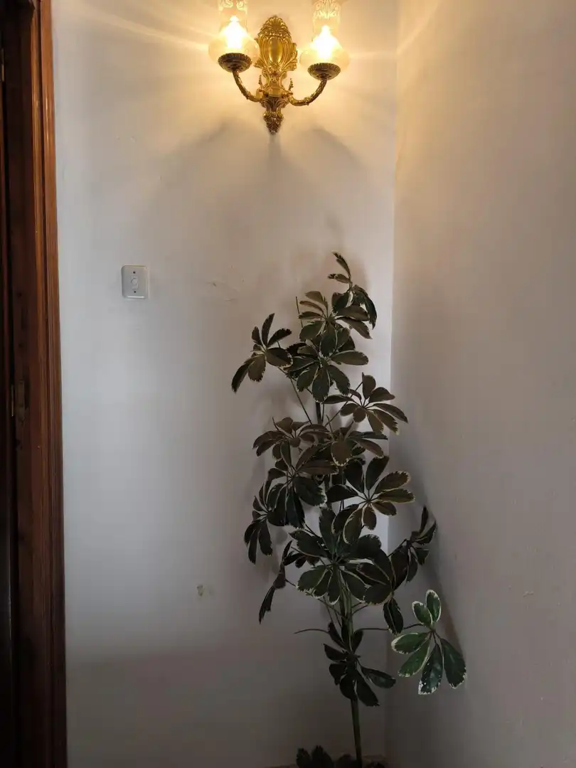 Piso en venta en Fuente Obejuna