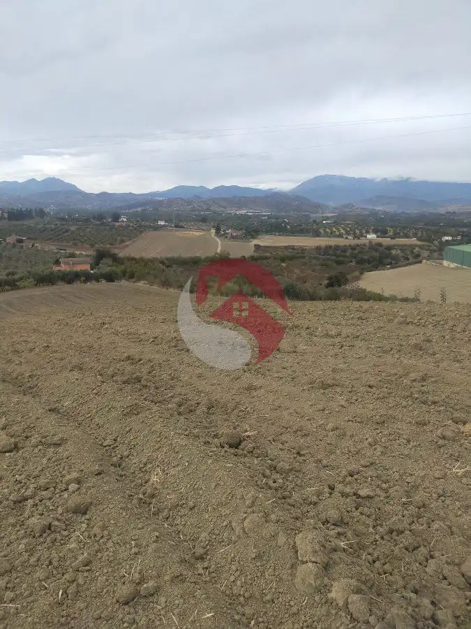 Terreno rústico en venta en Alquería - Torrealquería, imagen 7
