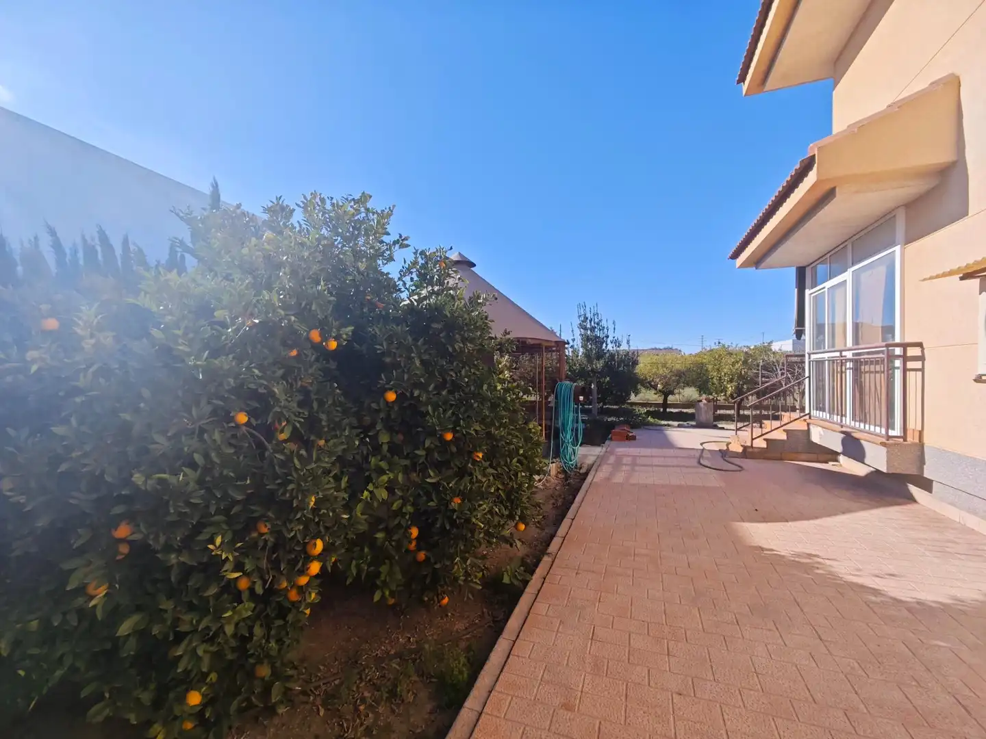 Garden of Houses for sale in Murcia  with Terrace