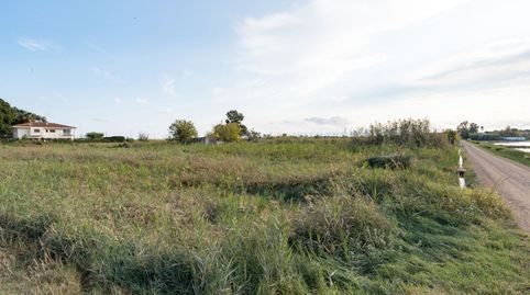 Finca rústica cerca de la población con una casa de aperos, imatge 4
