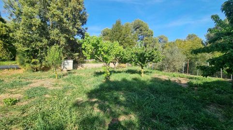 Foto 5 de Casa o chalet en venta en El Montmell, Tarragona