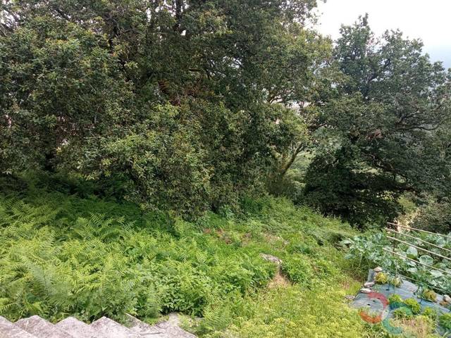 Finca rústica en Venta en Combarro