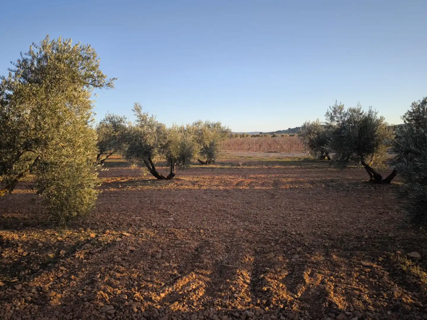 Casa o chalet en venta en Valdepeñas