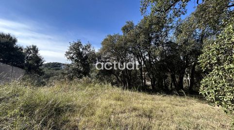 TERRENO EN CALONGE, imagen 5