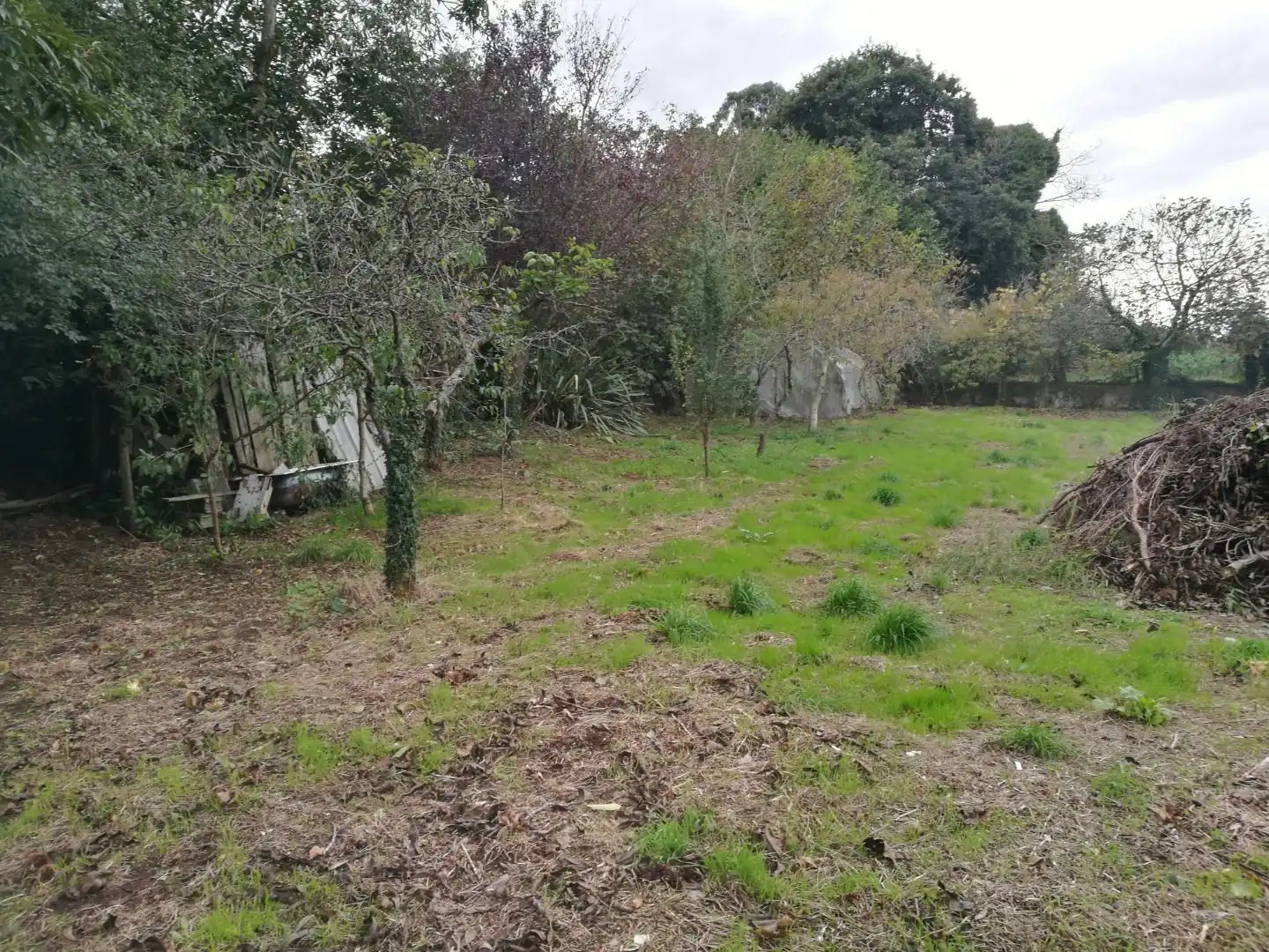 Terreni e lotti in vendita a Carballo, imagen 2