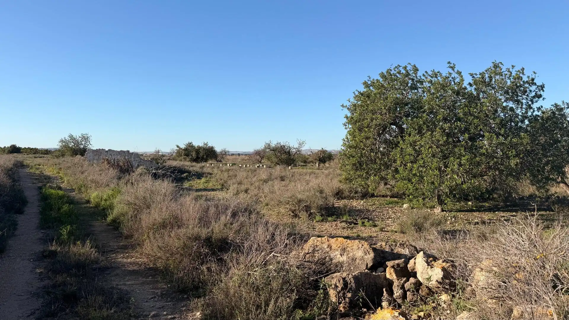 Terreno residencial en venta en La Marina, imagen 24