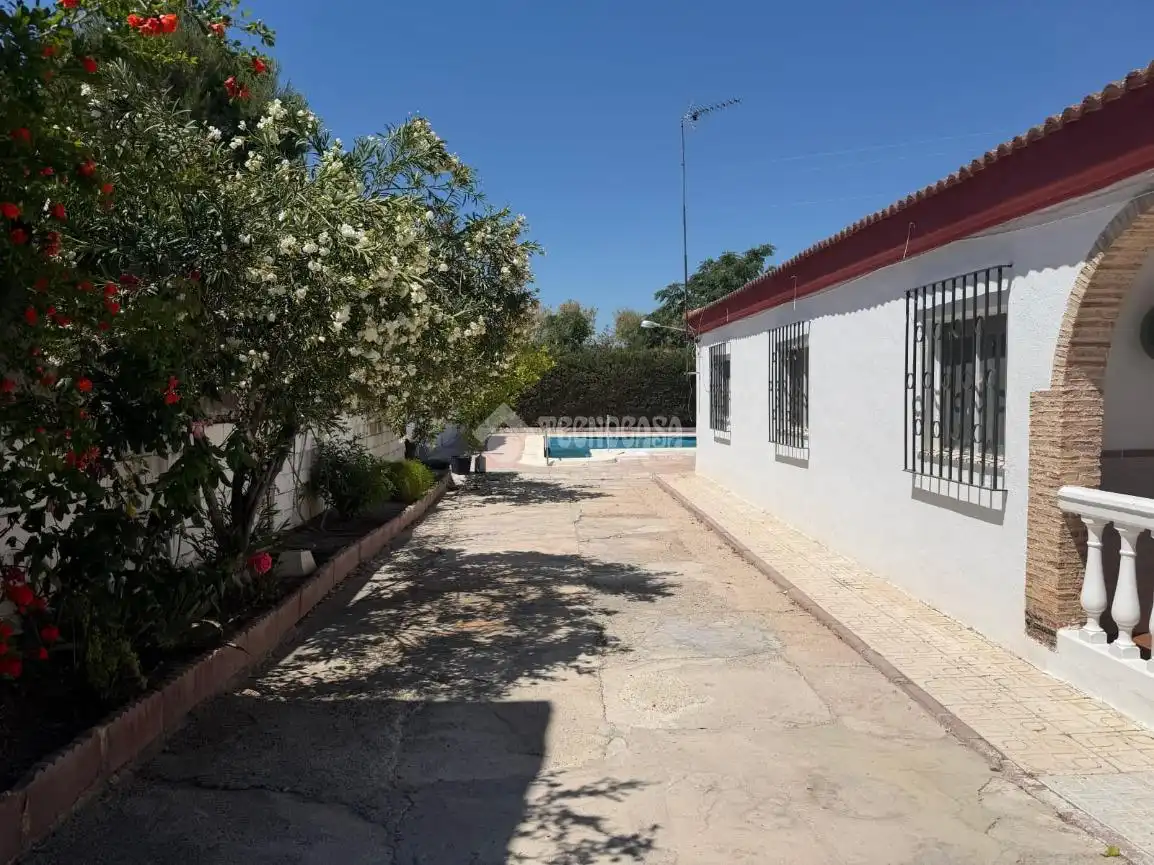 Vista exterior de Finca rústica en venda en Jaén