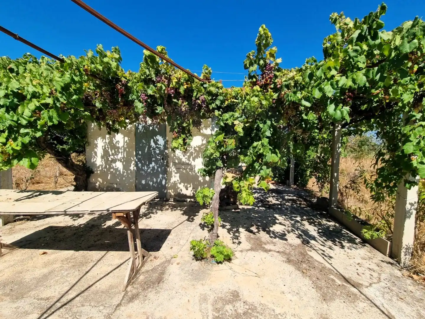 Lands and plots for sale in poligono 17 parcela 32