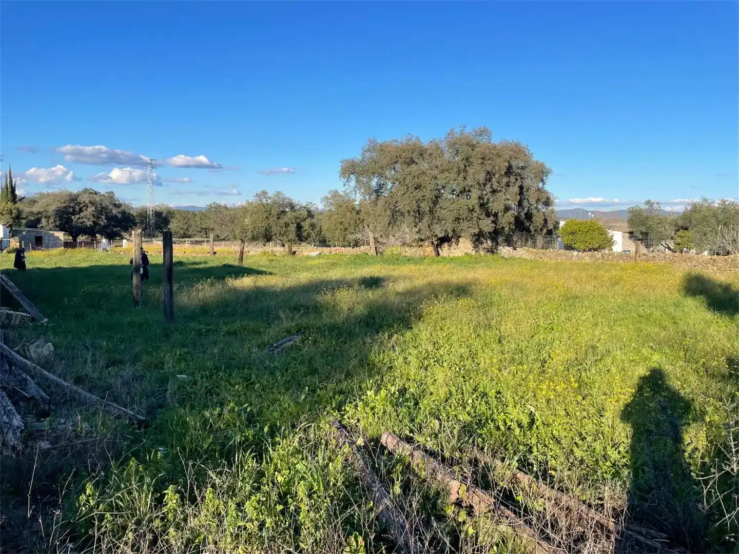 Land for sale in Campofrío