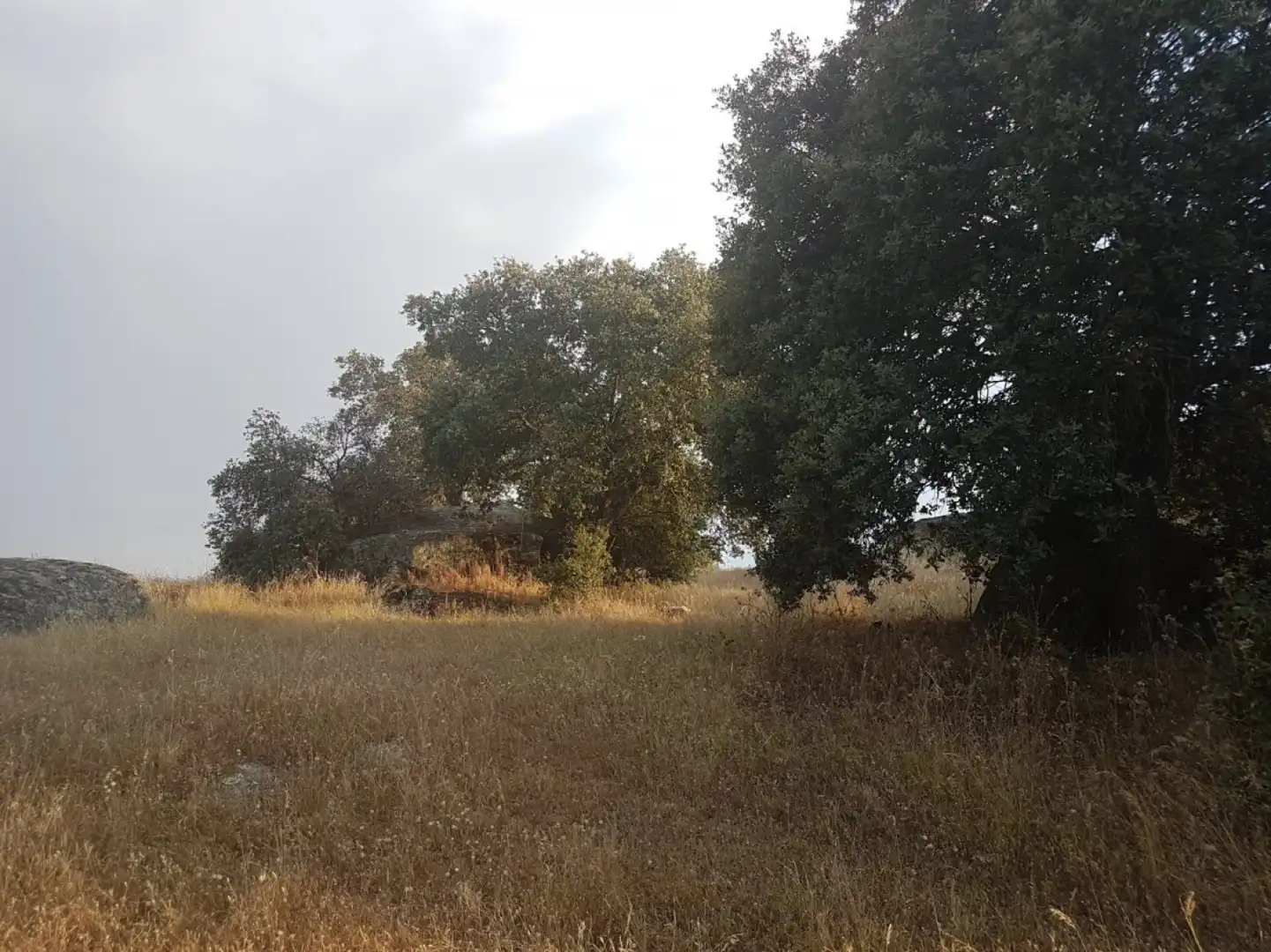 Terreni e lotti in vendita a Esparragalejo, imagen 7