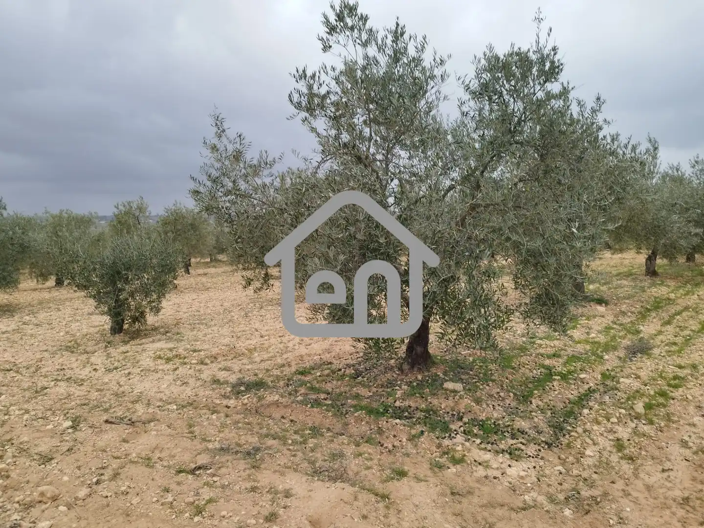 Rural land for sale in Requena, imagen 11