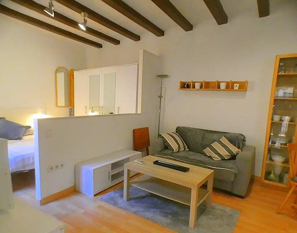 Wohnung mit Terrasse zum Verkauf in Carrer del Baluard, imagen 3