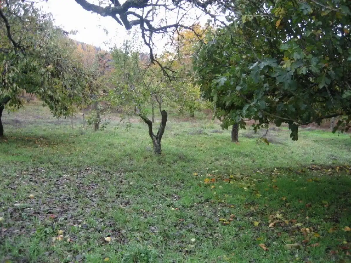 Casa o chalet en venta en Arganza