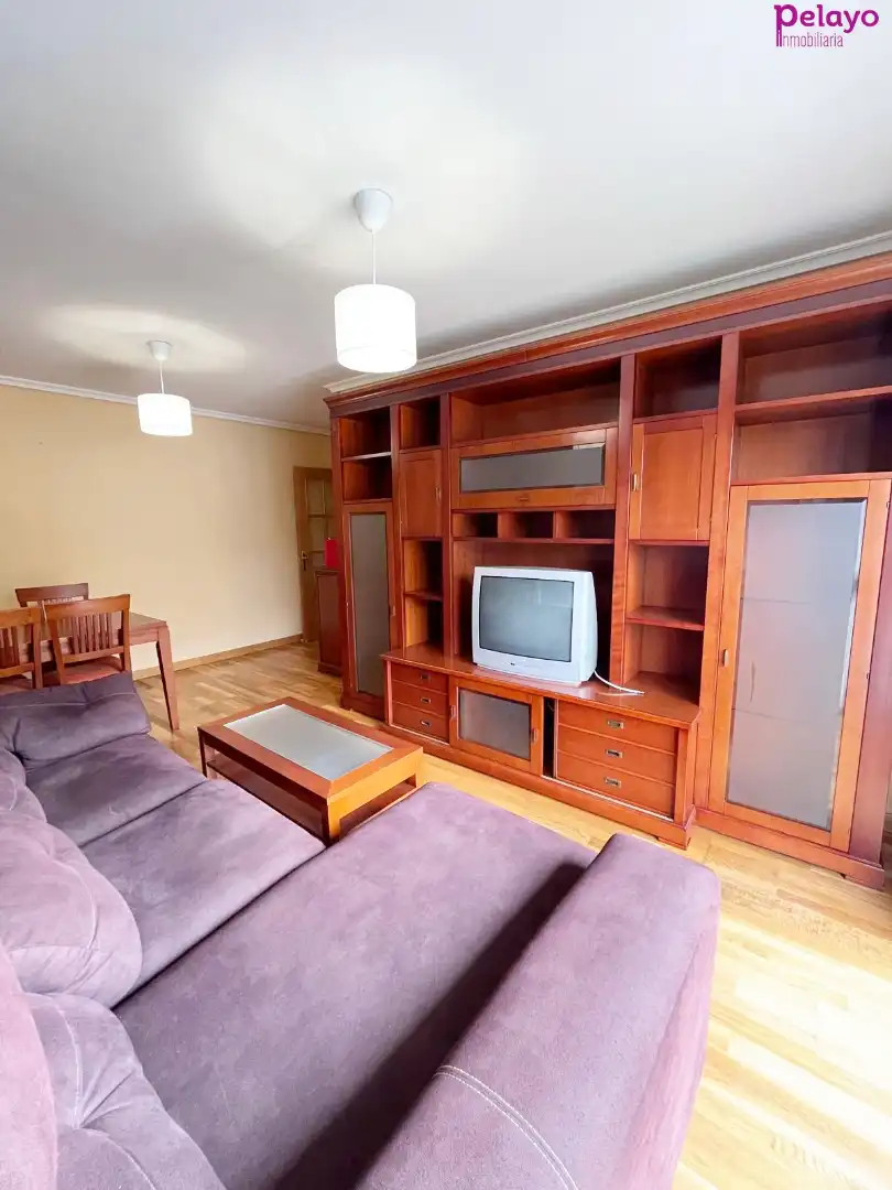 Living room of Flat for rent in Reocín  with Heating, Storage room and Furnished