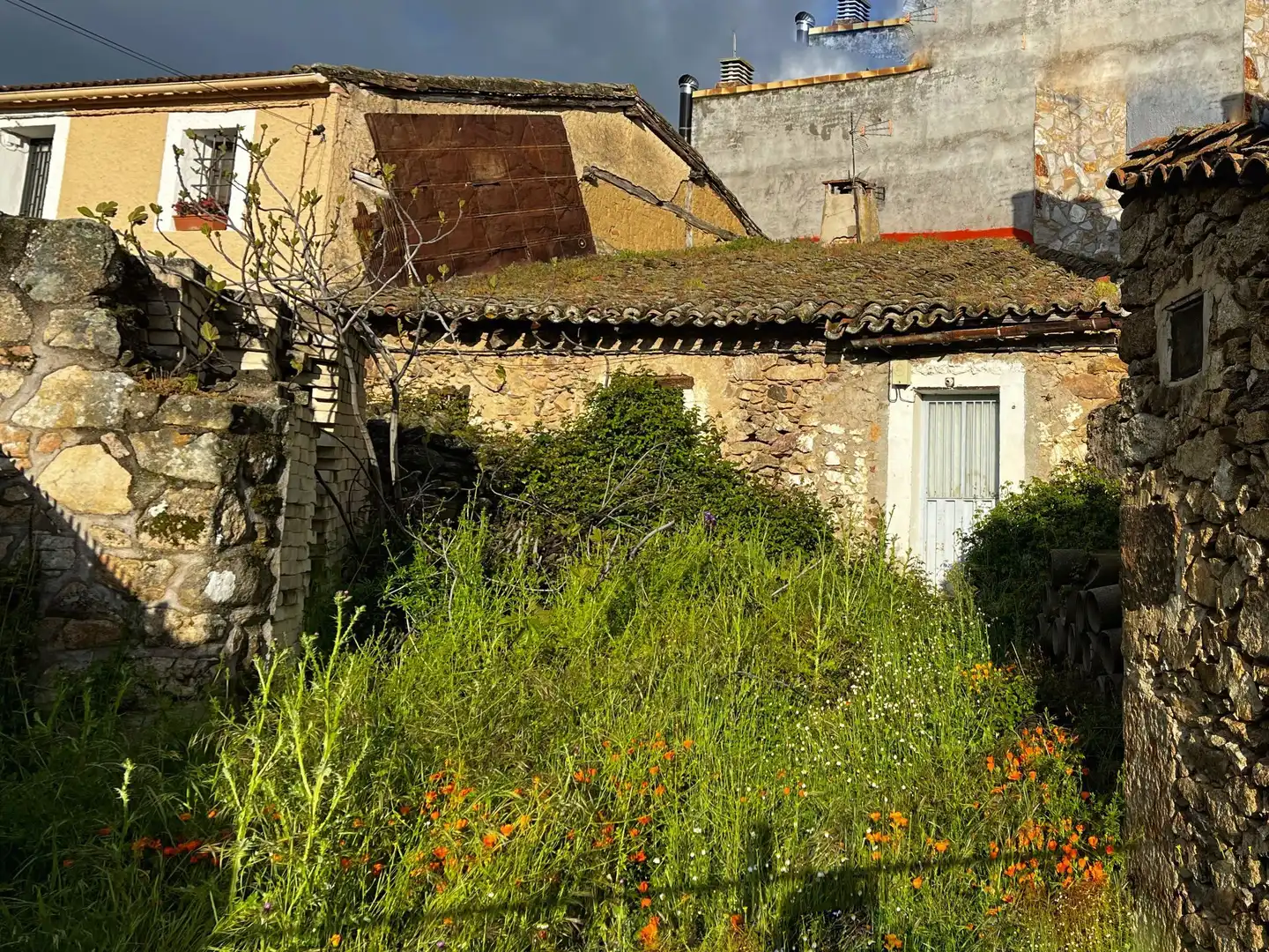 Vista exterior de Casa adosada en venta en Gargantilla del Lozoya con Jardín privado