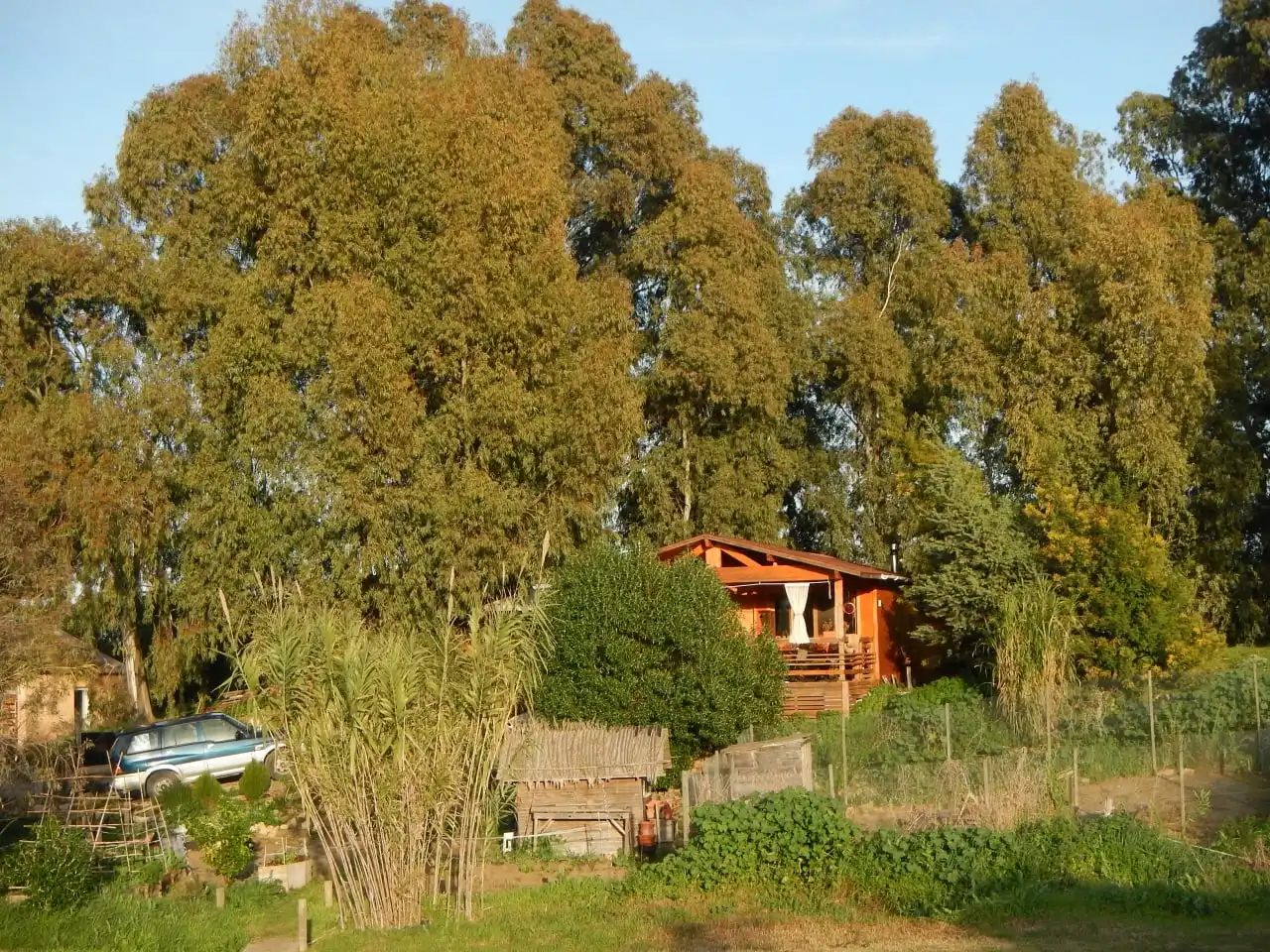 Garten von Haus oder Chalet zum Verkauf in Vejer de la Frontera mit Heizung, Privatgarten und Parkett