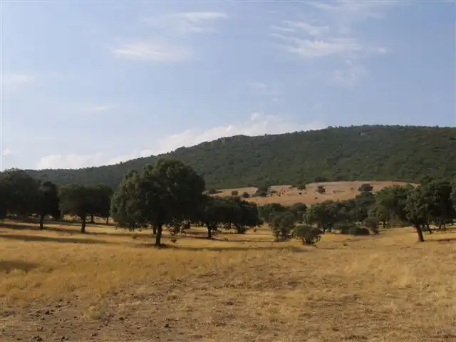 Grundstücke zum Verkauf in Baterno