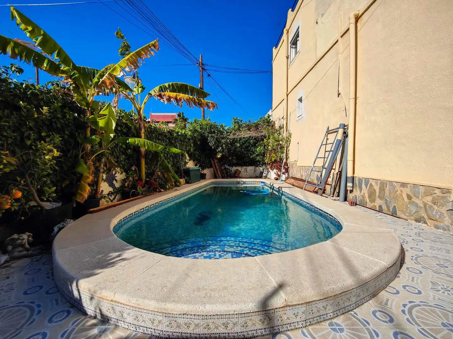 Piscina de Finca rústica en venda en San Miguel de Salinas amb Jardí privat, Piscina i Moblat