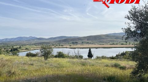 Finca rústica con 575 m2 según catastro ,lindando a camino y cerquita de la carretera Nacional , sembrada de olivos y con acceso c