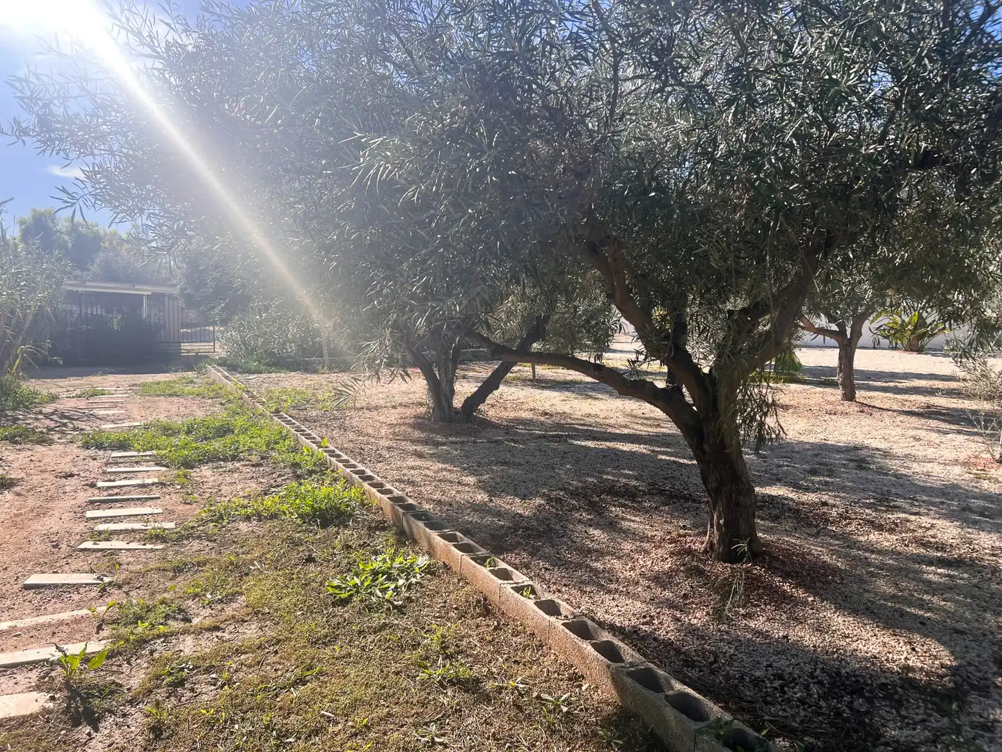 House with terrace for sale in Partidas de Alicante, imagen 77