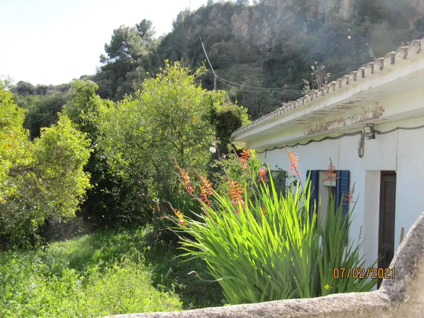 Jardín de Casa o chalet en venta en Alozaina con Jardín privado, Piscina y Amueblado