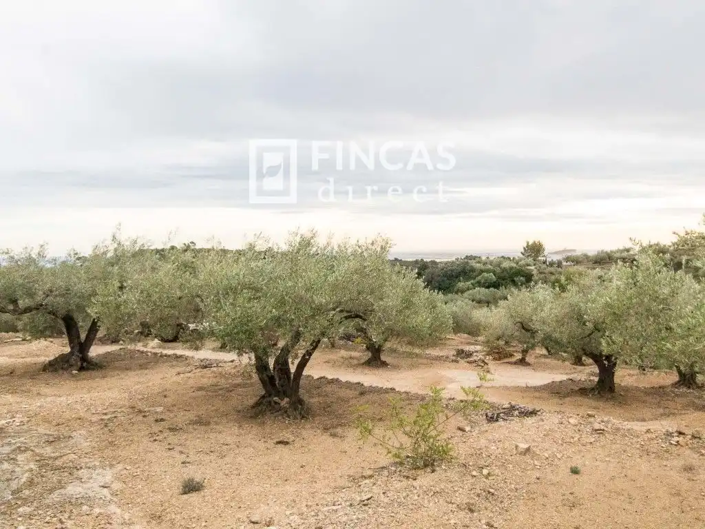Finca rústica en venda en Tortosa amb Moblat