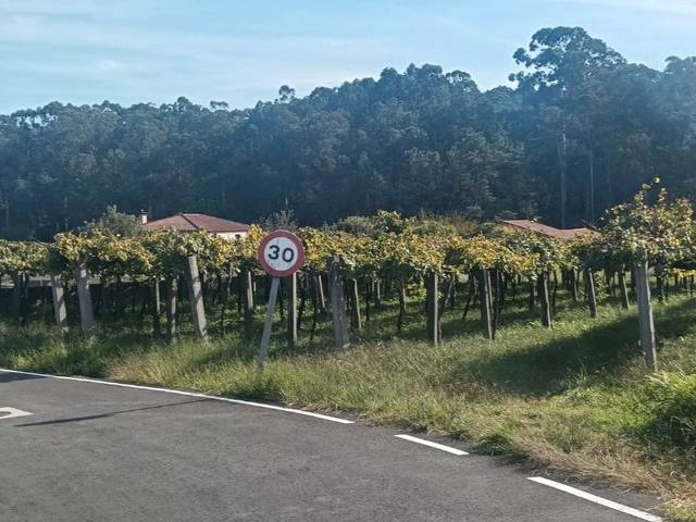 Terreno residencial en Venta en Calle Curuxeiras Rebordanes, S/N en Tui