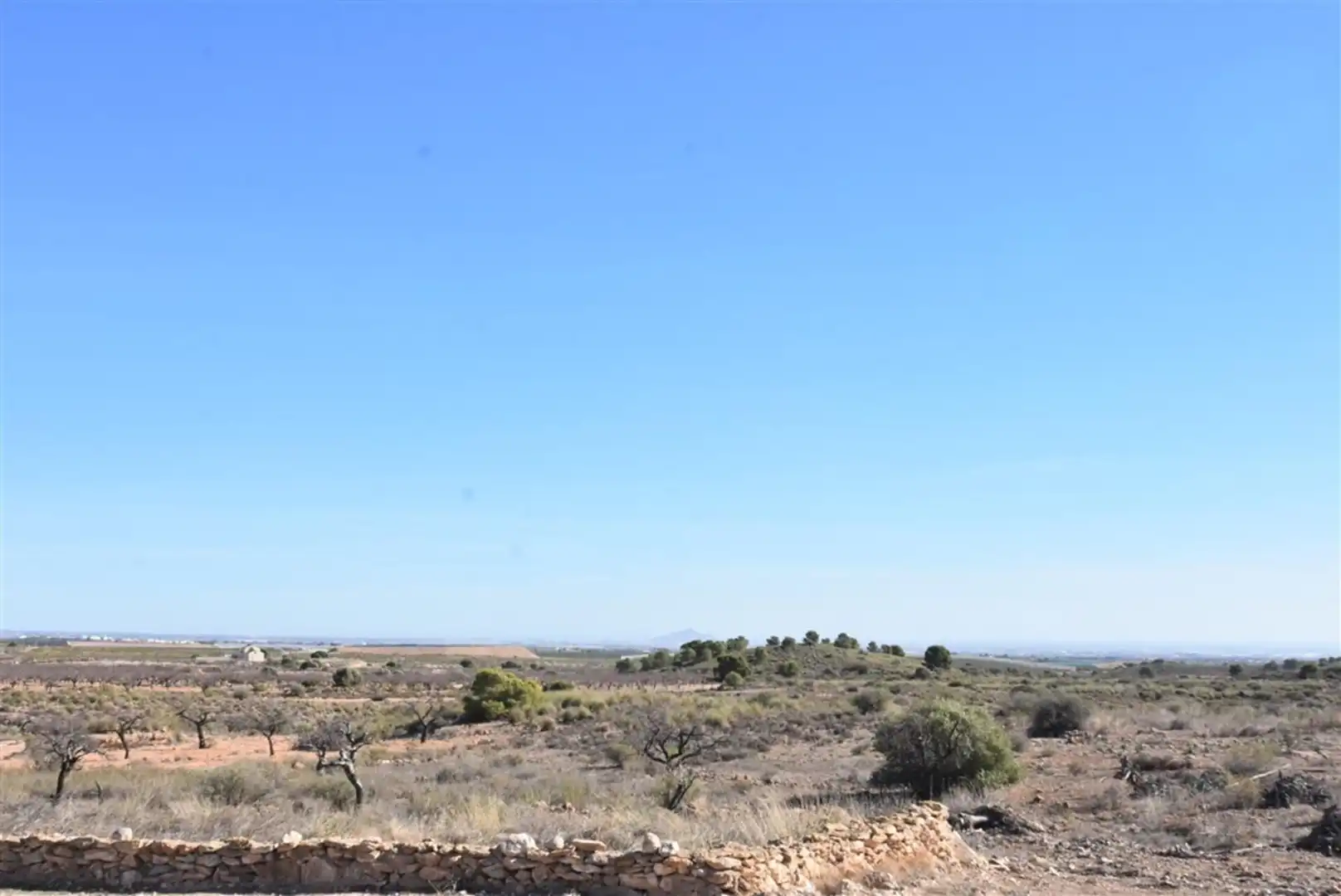Casa o xalet en venda en Fuente Álamo de Murcia amb Jardí privat i Terrassa