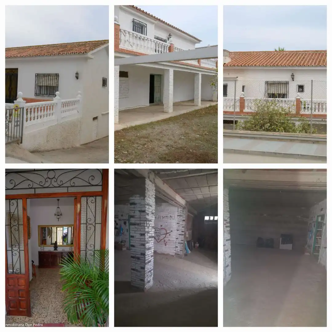 Vista exterior de Finca rústica en venta en Torrox con Terraza y Trastero