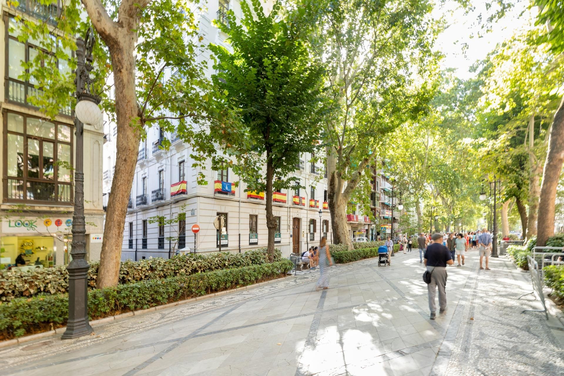 Pis per a compartir a San Matías - Realejo, Centro