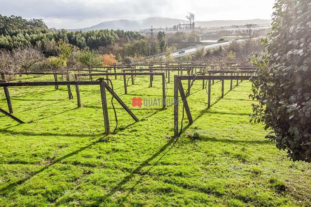Casa o xalet en venda en Padrón amb Jardí privat