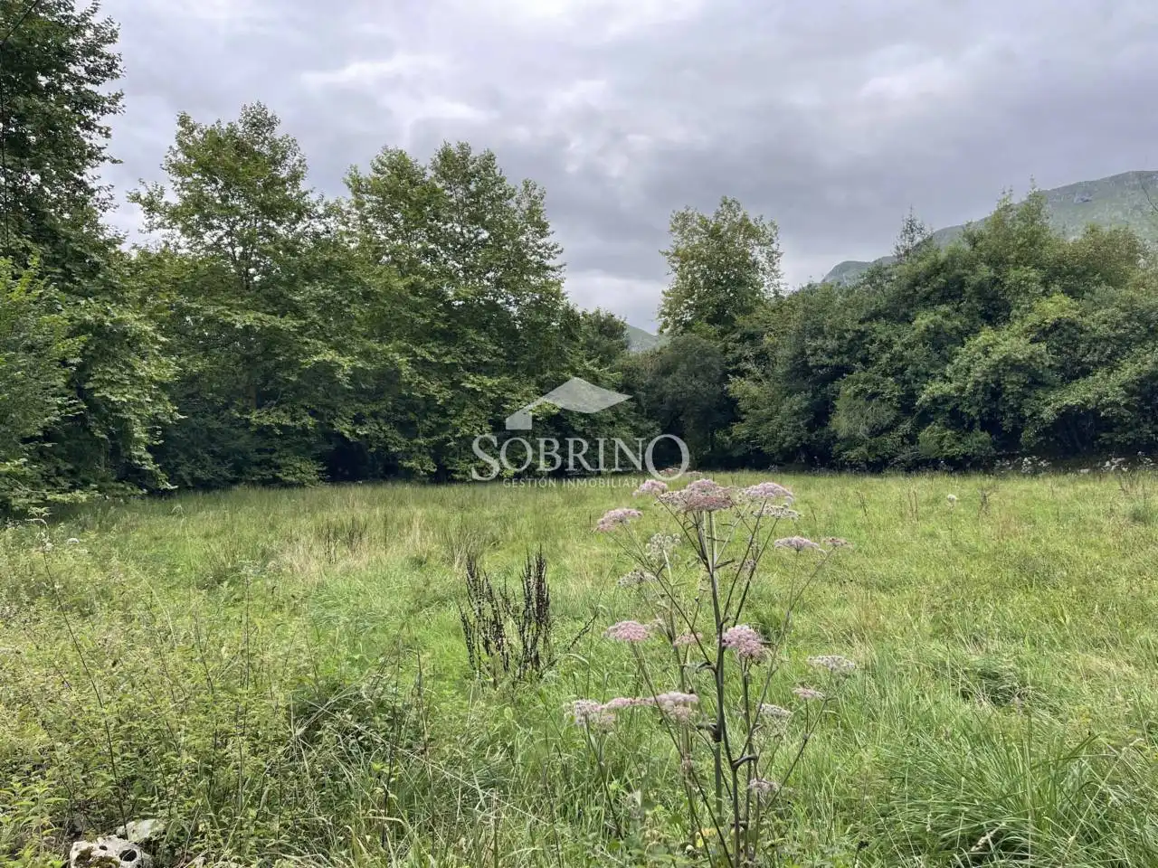 Terreny residencial en venda a Calle La Pereda, imagen 15