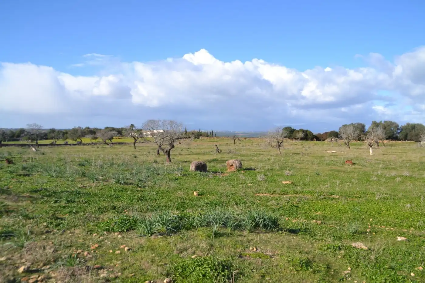 Maison rustique à vendre à Manacor Centre, imagen 11
