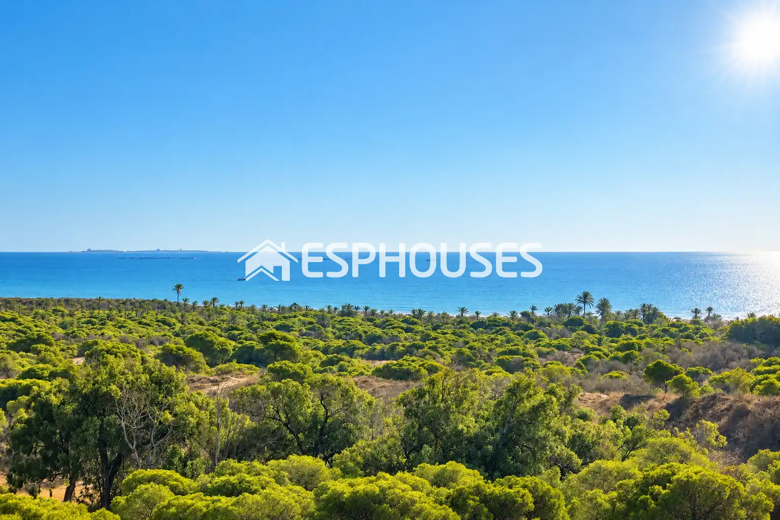 Penthouse with terrace for sale in Puerto Deportivo, imagen 2