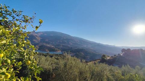 Foto 4 de Finca rústica en venda a Izbor, Sin N, El Pinar, Granada