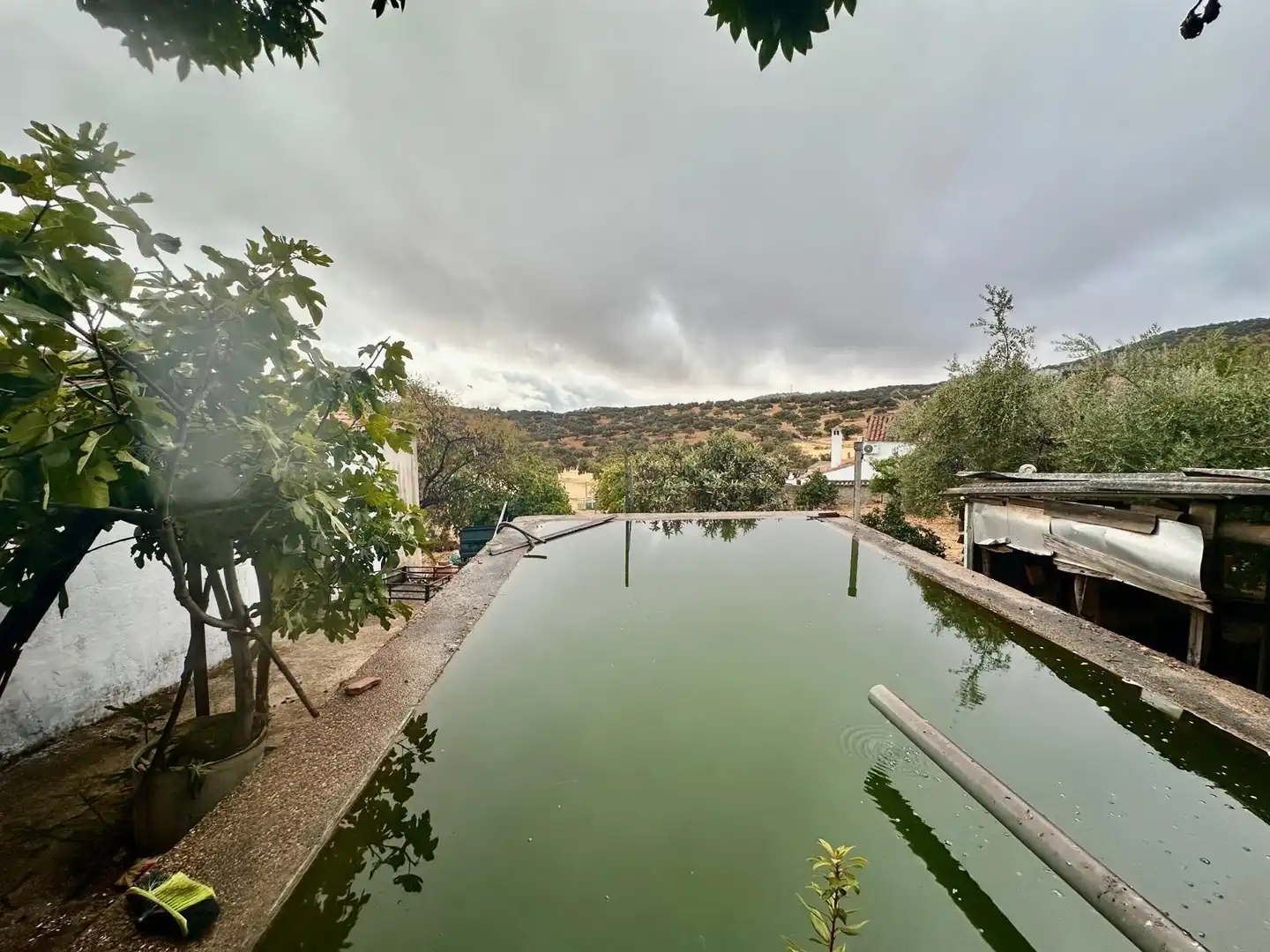Casa con piscina en venta en Fuente Obejuna, imagen 16