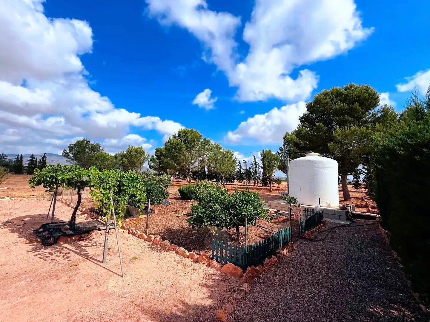 Jardí de Finca rústica en venda en Murcia amb Piscina