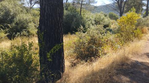 Foto 4 de Finca rústica en venda a Calle Santa Cecilia, Valdemaqueda, Madrid
