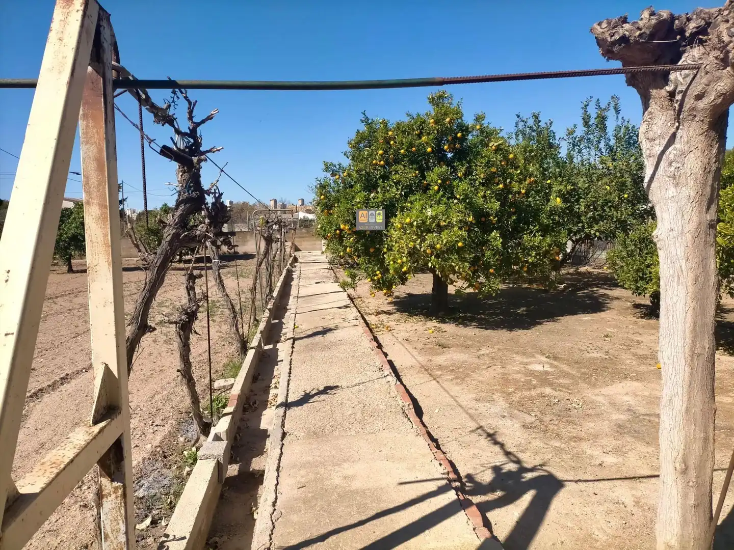 Finca rústica en venta en Juzgados - Plaza de Toros
