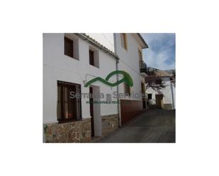 Exterior view of House or chalet for sale in Cañete la Real