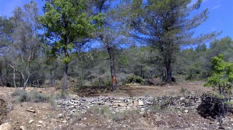 Foto 3 de Terreno en venta en Carrer de Les Liebres, 268, Querol, Tarragona
