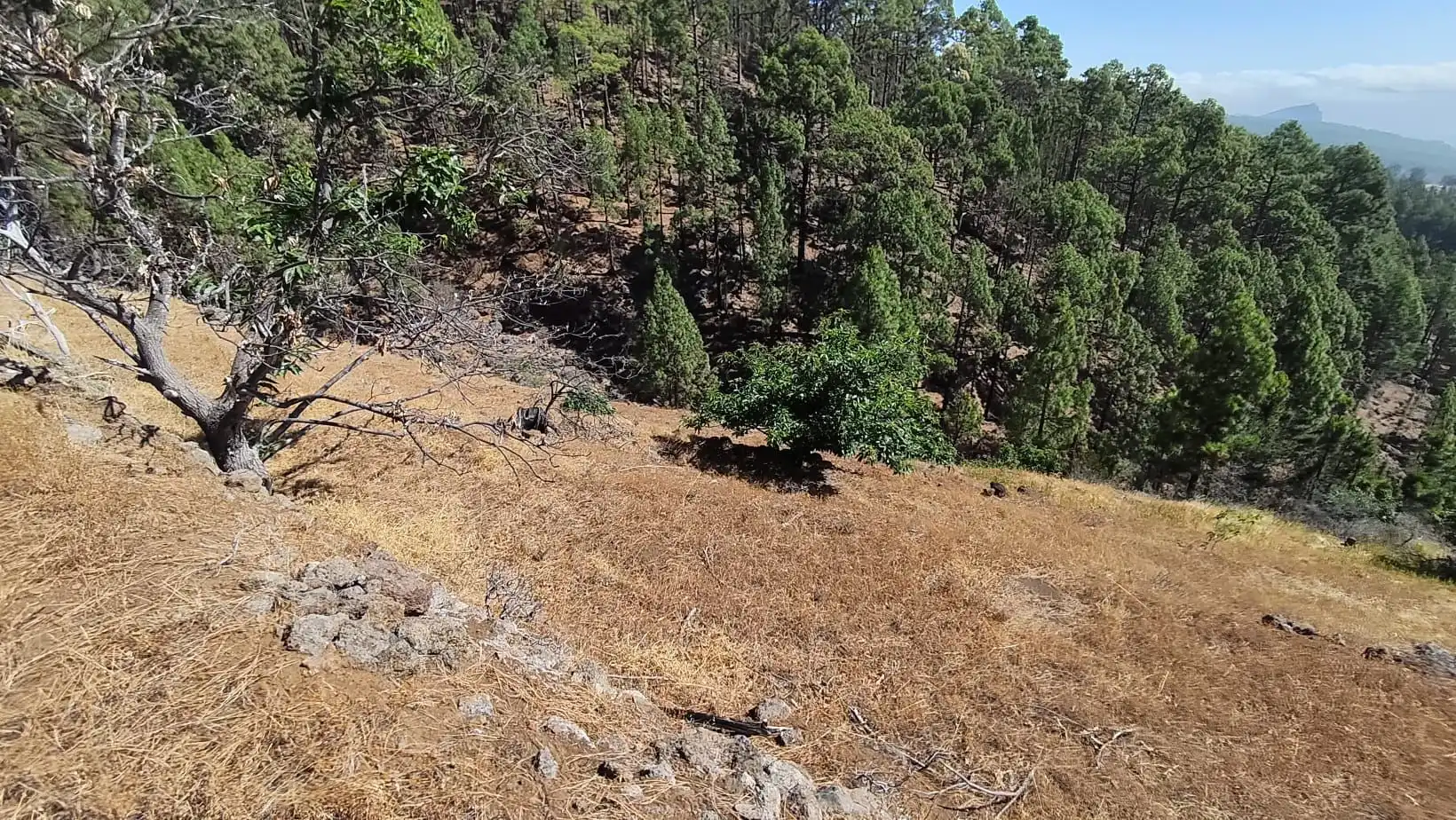 Rural land for sale in Machado - Las Barreras, imagen 6